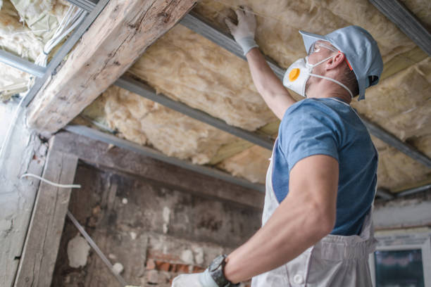 Best Insulation Maintenance and Repair in Ravensworth, VA