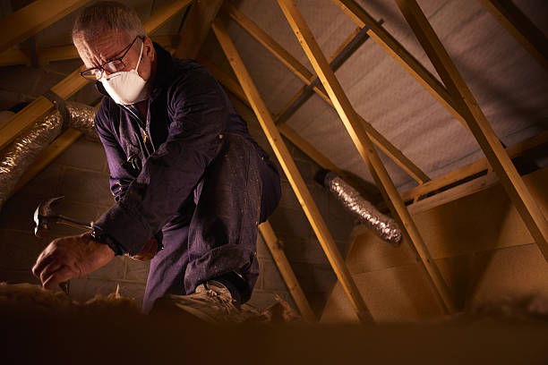 Best Energy Efficiency Solutions in Ravensworth, VA